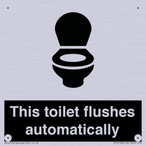 This toilet flushes automatically